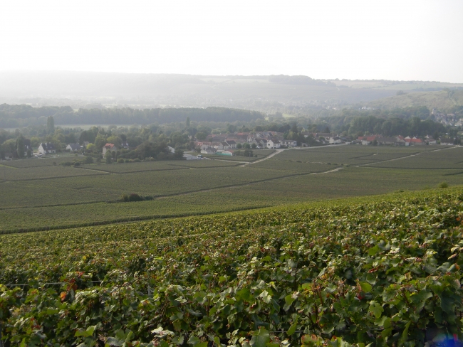 Champagne SONNETTE-PETIT - 